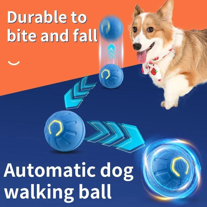 PlayMotion™ – Interactive Smart Pet Ball