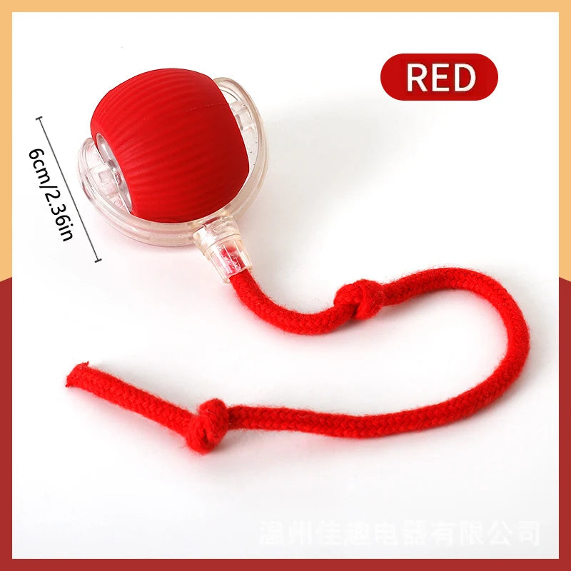 PlayMotion™ – Interactive Smart Pet Ball