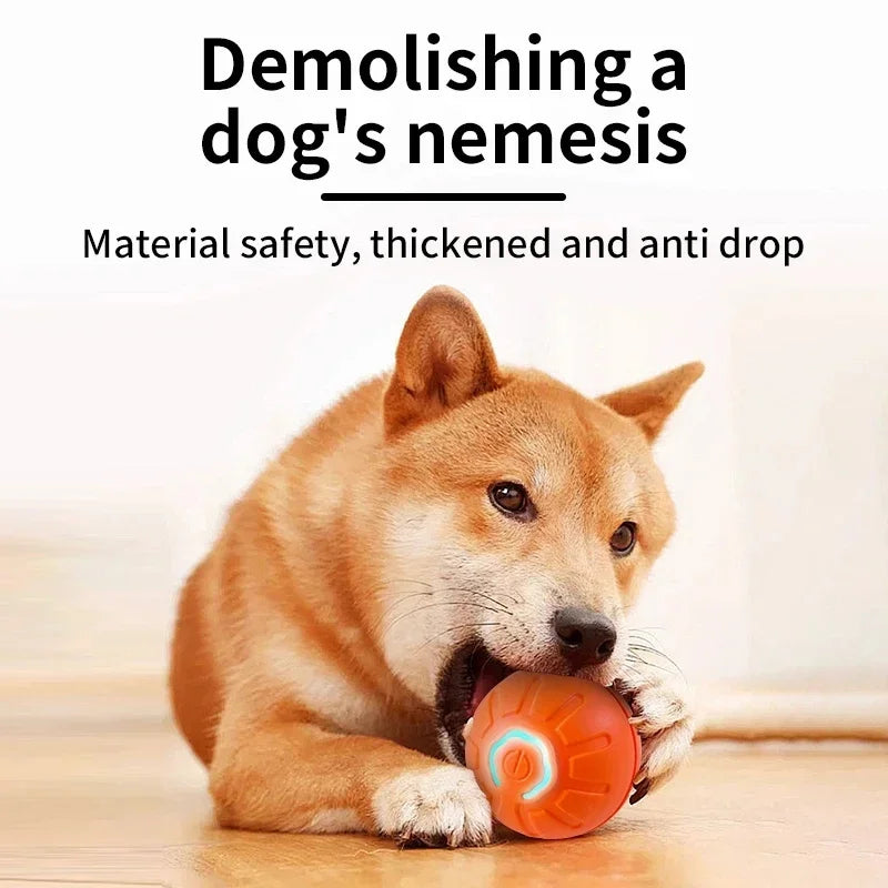 PlayMotion™ – Interactive Smart Pet Ball
