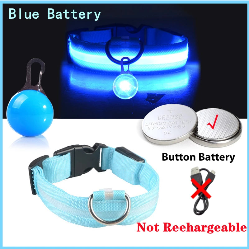 GlowSafe™ – USB Rechargeable LED Dog Collar