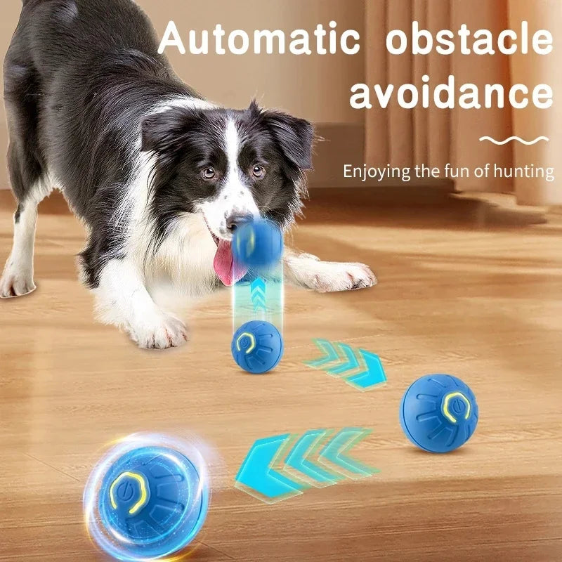 PlayMotion™ – Interactive Smart Pet Ball