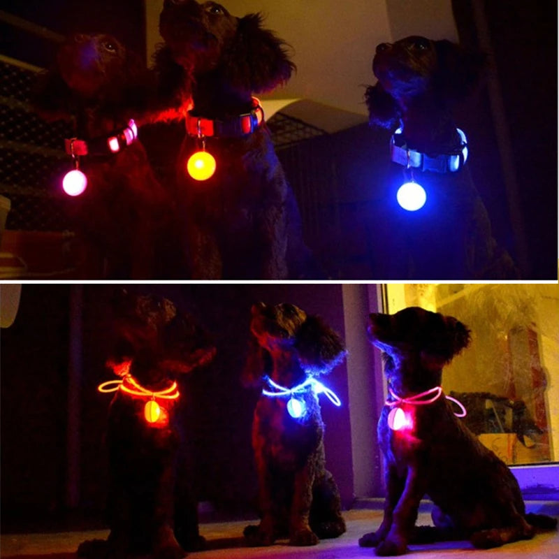 GlowSafe™ – USB Rechargeable LED Dog Collar