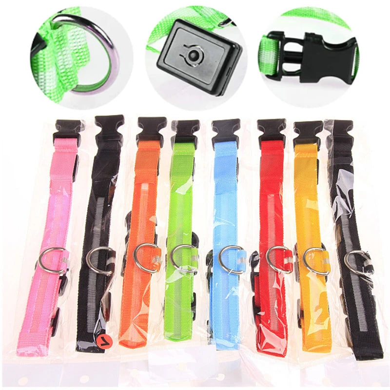 GlowSafe™ – USB Rechargeable LED Dog Collar