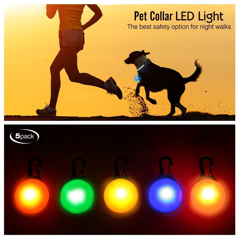 GlowSafe™ – USB Rechargeable LED Dog Collar
