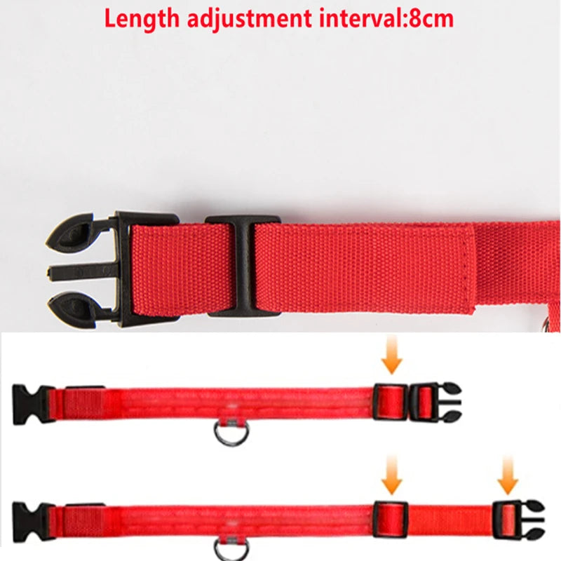 GlowSafe™ – USB Rechargeable LED Dog Collar