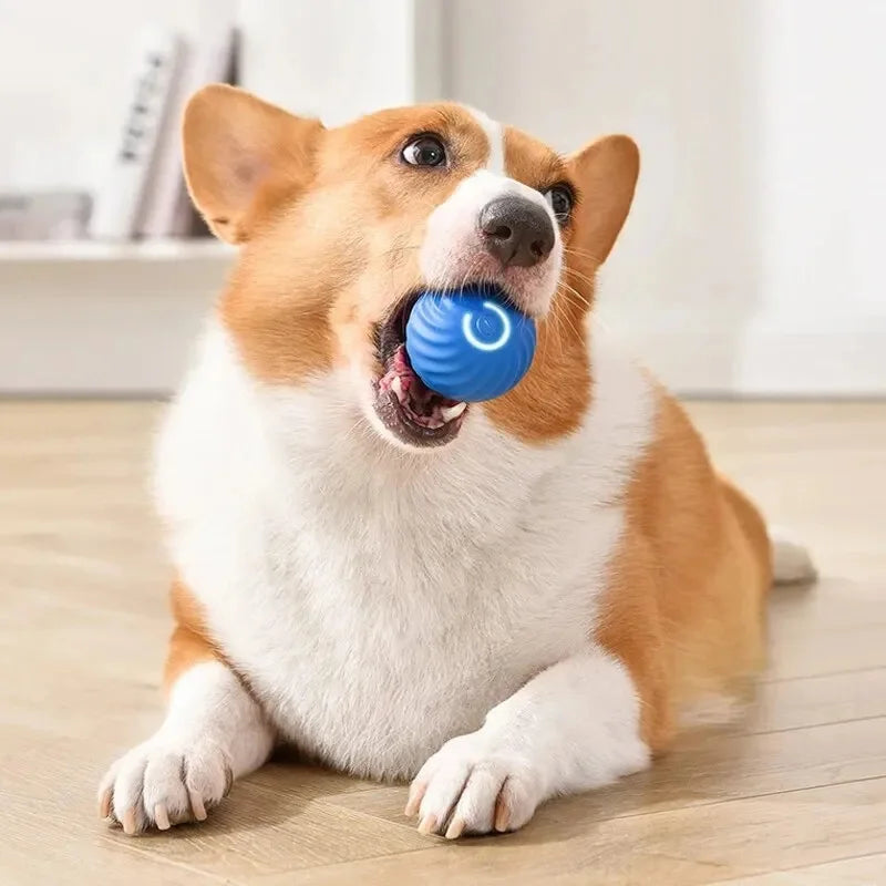 PlayMotion™ – Interactive Smart Pet Ball