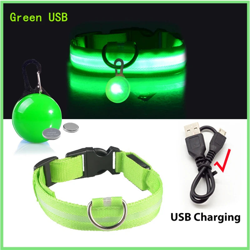 GlowSafe™ – USB Rechargeable LED Dog Collar
