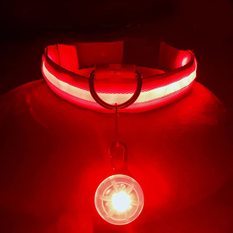 GlowSafe™ – USB Rechargeable LED Dog Collar