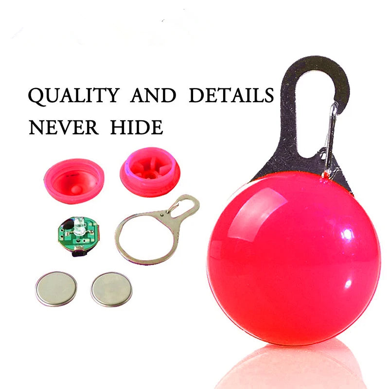GlowSafe™ – USB Rechargeable LED Dog Collar