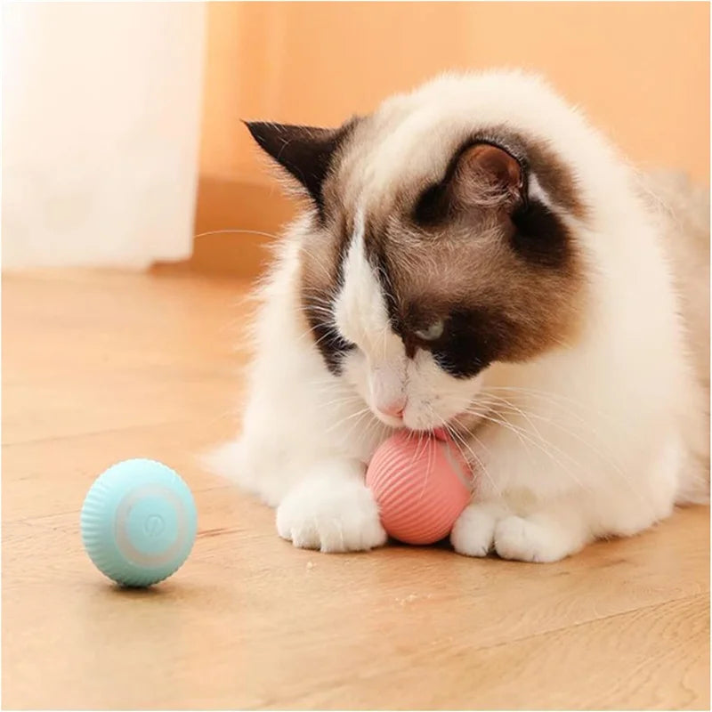 PlayMotion™ – Interactive Smart Pet Ball