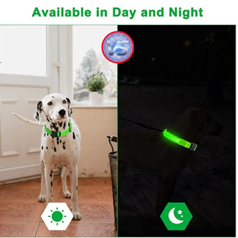 GlowSafe™ – USB Rechargeable LED Dog Collar