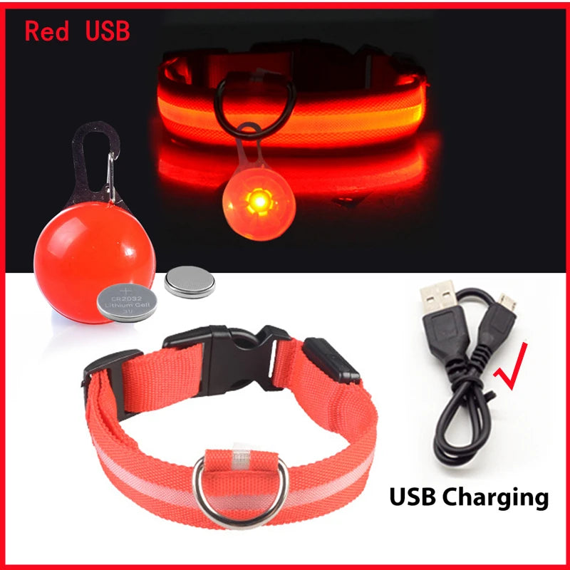 GlowSafe™ – USB Rechargeable LED Dog Collar