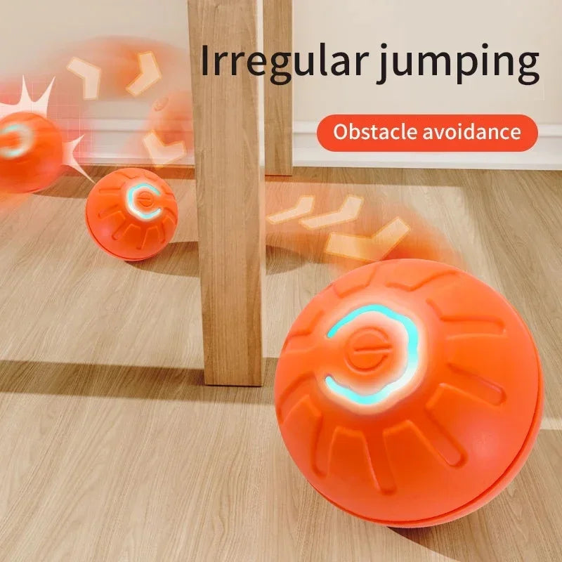 PlayMotion™ – Interactive Smart Pet Ball