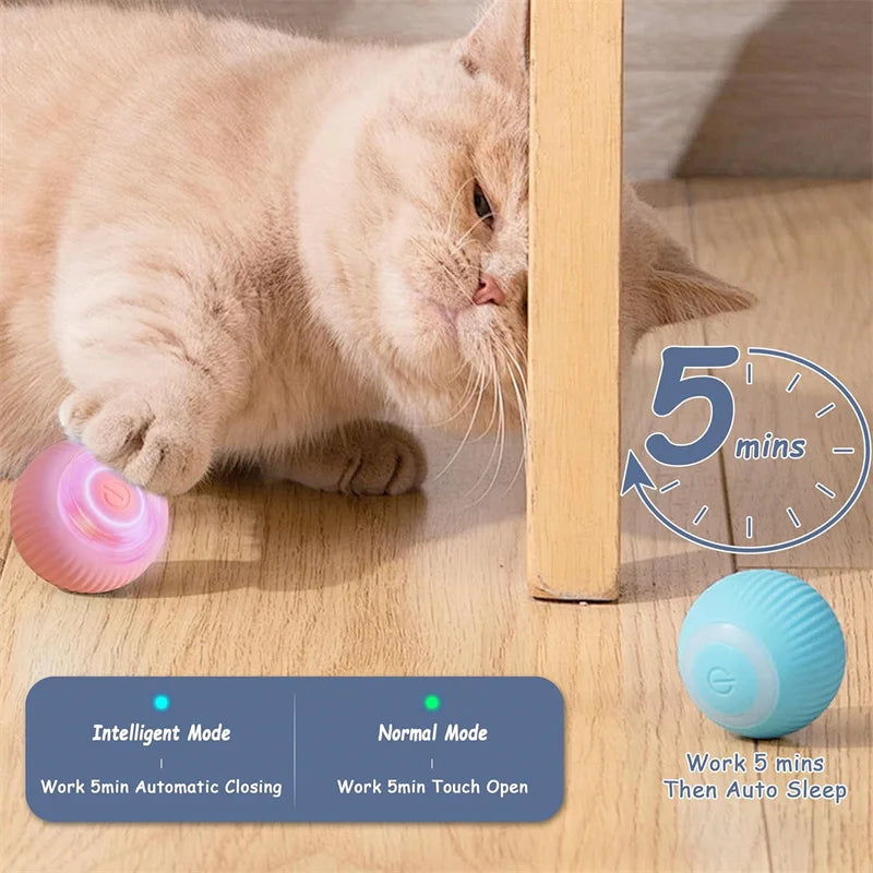 PlayMotion™ – Interactive Smart Pet Ball