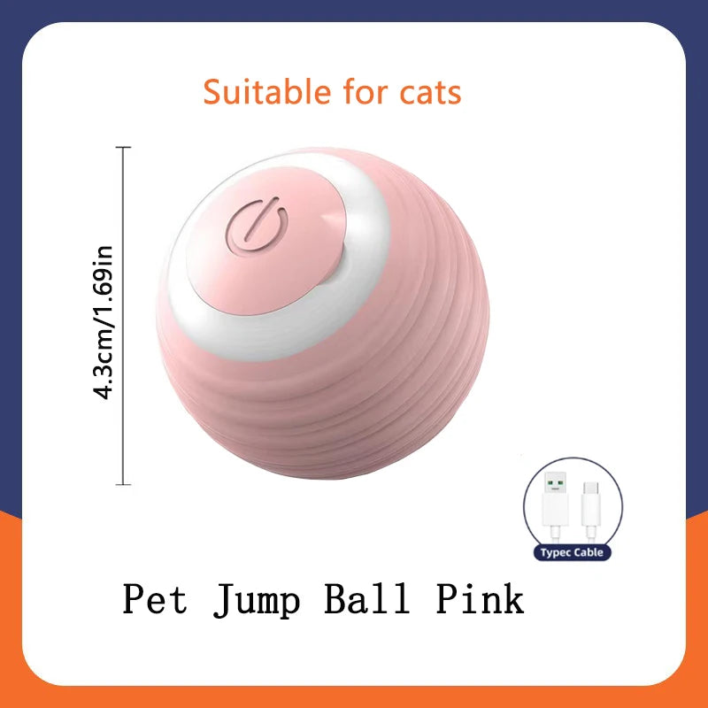 PlayMotion™ – Interactive Smart Pet Ball