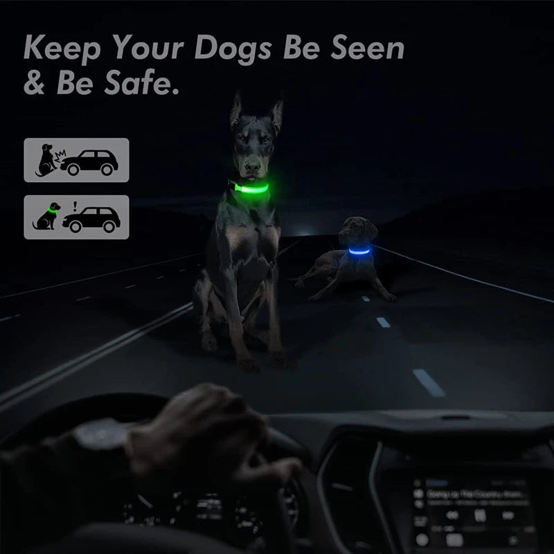 GlowSafe™ – USB Rechargeable LED Dog Collar