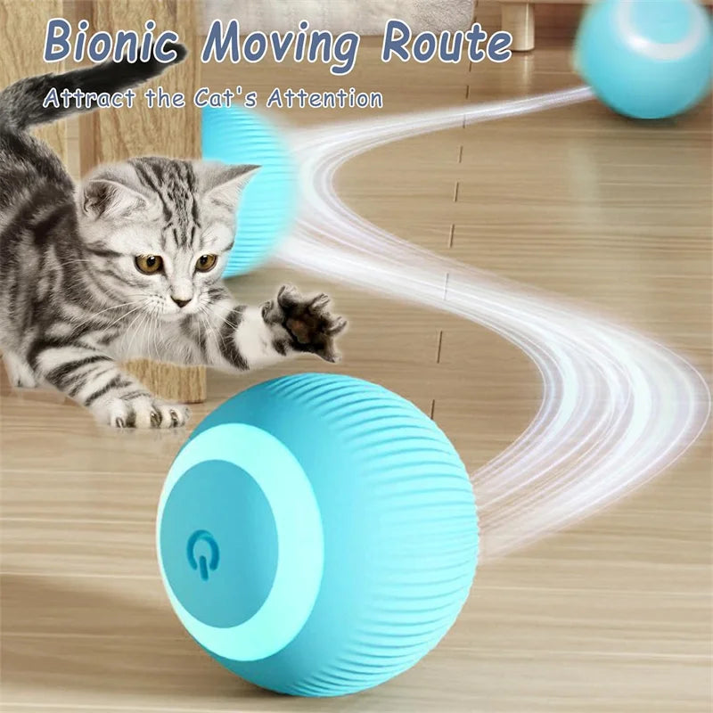 PlayMotion™ – Interactive Smart Pet Ball