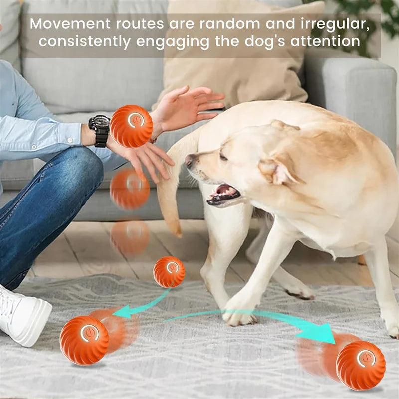 PlayMotion™ – Interactive Smart Pet Ball