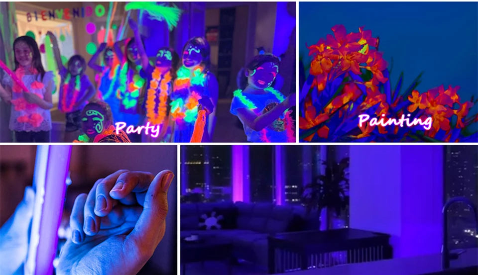 Gadgit Co UV Blacklight Tube | 395nm, 6W USB, T5 or T8 with Magnetic Mount