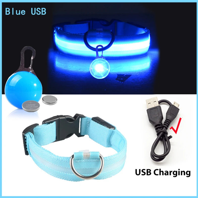 GlowSafe™ – USB Rechargeable LED Dog Collar